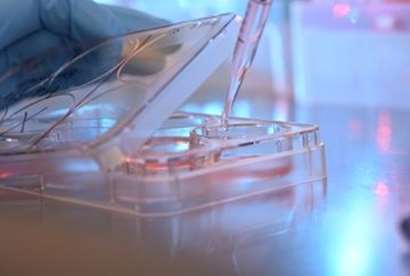 اولویت های پژوهشی